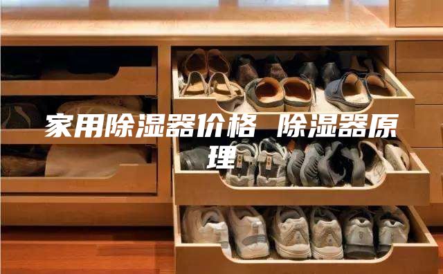 家用除湿器价格 除湿器原理