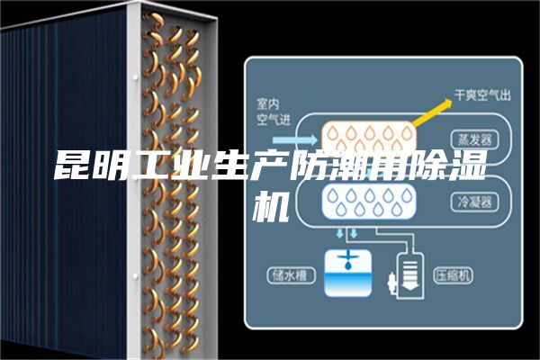 昆明工业生产防潮用除湿机