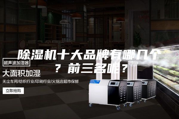 除湿机十大品牌有哪几个？前三名呢？