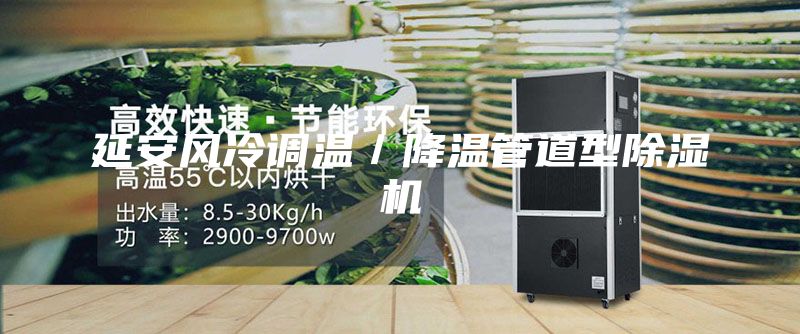 延安风冷调温／降温管道型除湿机