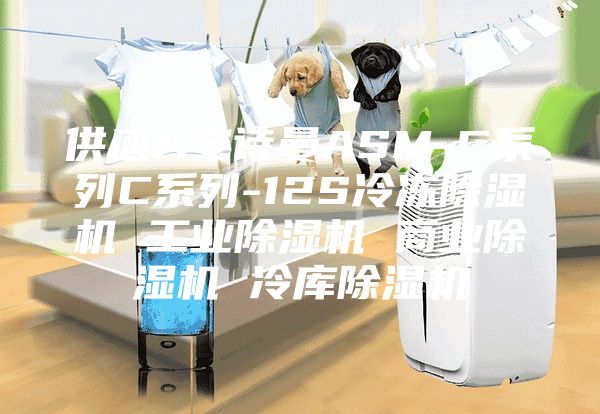 供应A安诗曼ASM-C系列C系列-12S冷冻除湿机 工业除湿机 商业除湿机 冷库除湿机