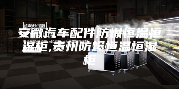 安微汽车配件防爆恒温恒湿柜,贵州防爆恒温恒湿柜