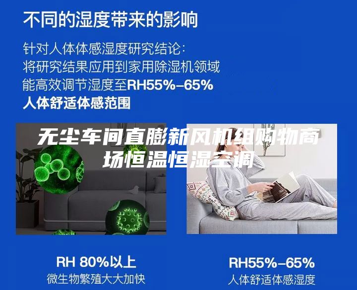 无尘车间直膨新风机组购物商场恒温恒湿空调