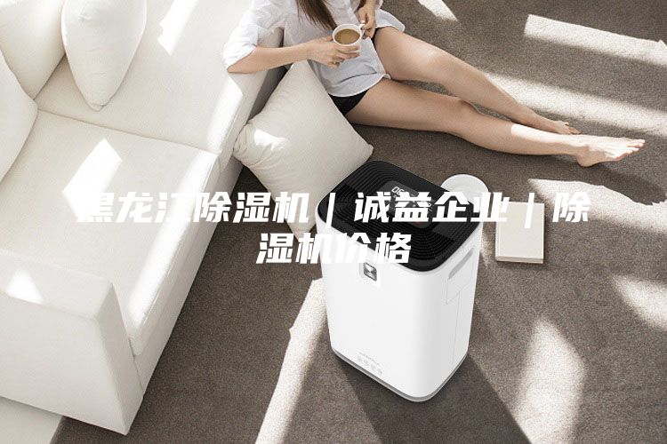 黑龙江除湿机｜诚益企业｜除湿机价格