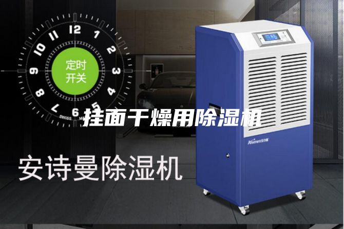 挂面干燥用除湿机