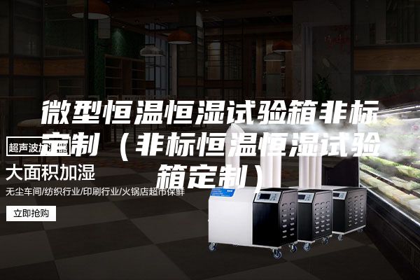 微型恒温恒湿试验箱非标定制（非标恒温恒湿试验箱定制）