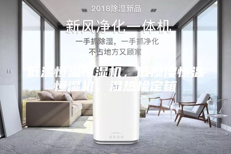 低温恒温恒湿机，低湿度恒温恒湿机，湿热检定箱