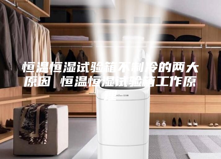 恒温恒湿试验箱不制冷的两大原因 恒温恒湿试验箱工作原理