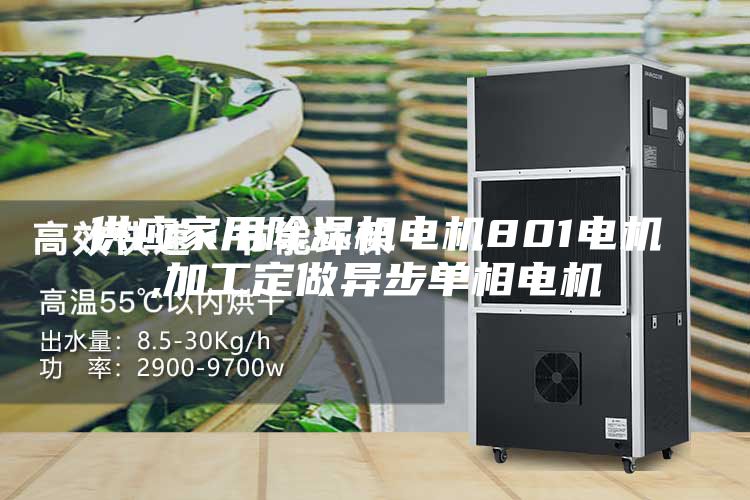 供应家用除湿机电机801电机,加工定做异步单相电机