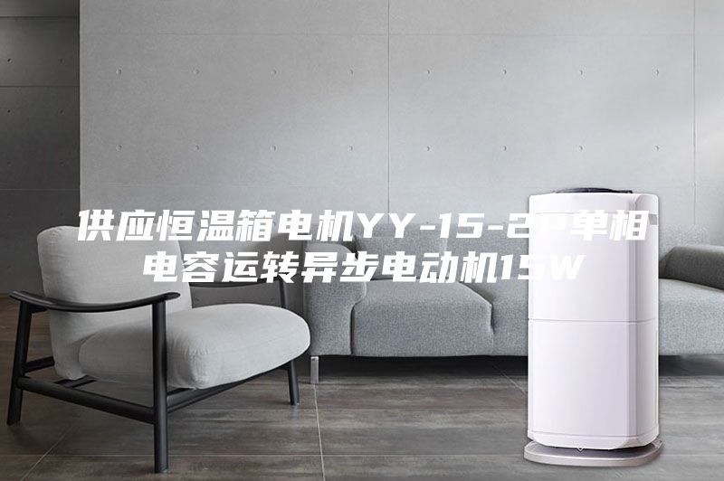 供应恒温箱电机YY-15-2P单相电容运转异步电动机15W