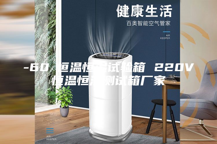 -60℃恒温恒湿试验箱 220V恒温恒湿测试箱厂家