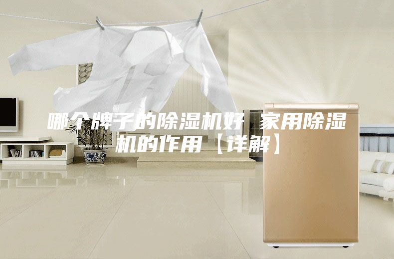 哪个牌子的除湿机好 家用除湿机的作用【详解】