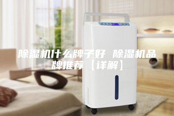 除湿机什么牌子好 除湿机品牌推荐【详解】