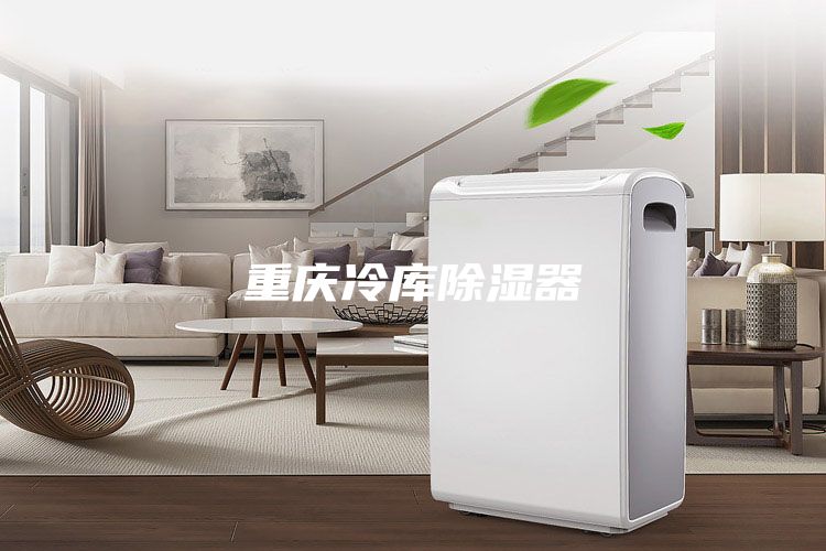 重庆冷库除湿器