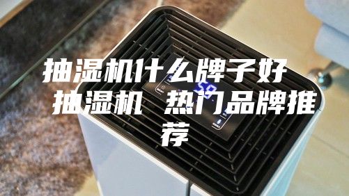 抽湿机什么牌子好  抽湿机 热门品牌推荐