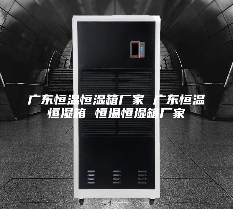 广东恒温恒湿箱厂家 广东恒温恒湿箱 恒温恒湿箱厂家