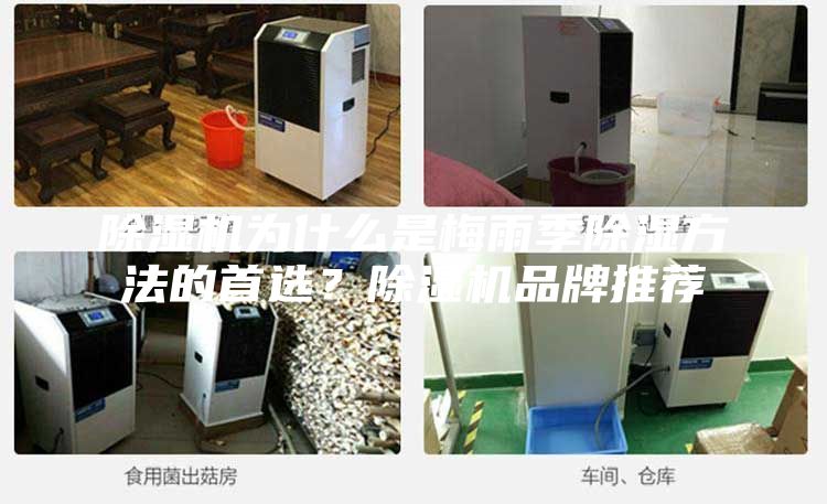 除湿机为什么是梅雨季除湿方法的首选？除湿机品牌推荐
