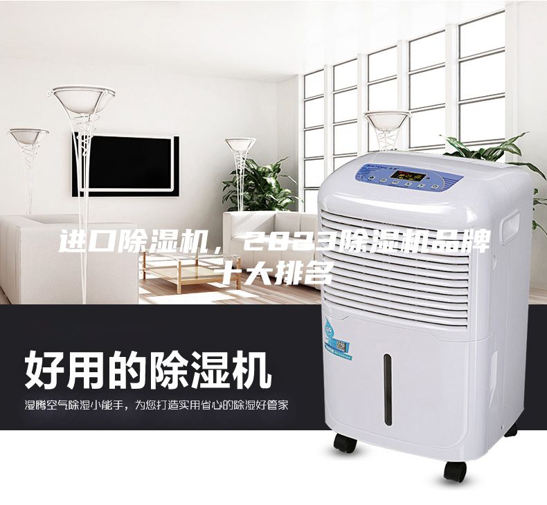 进口除湿机，2023除湿机品牌十大排名