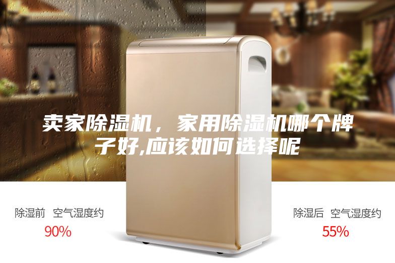 卖家除湿机，家用除湿机哪个牌子好,应该如何选择呢