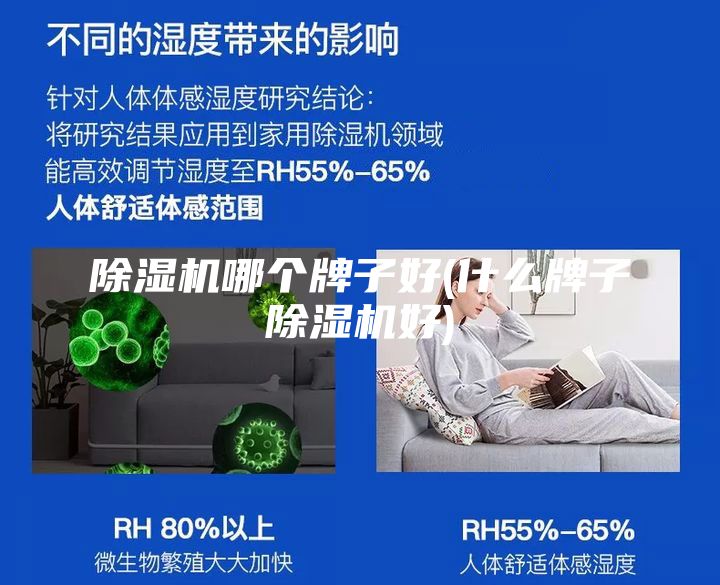 除湿机哪个牌子好(什么牌子除湿机好)