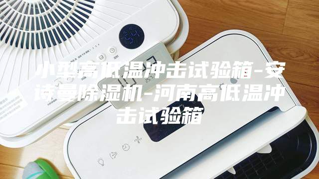 小型高低温冲击试验箱-安诗曼除湿机-河南高低温冲击试验箱
