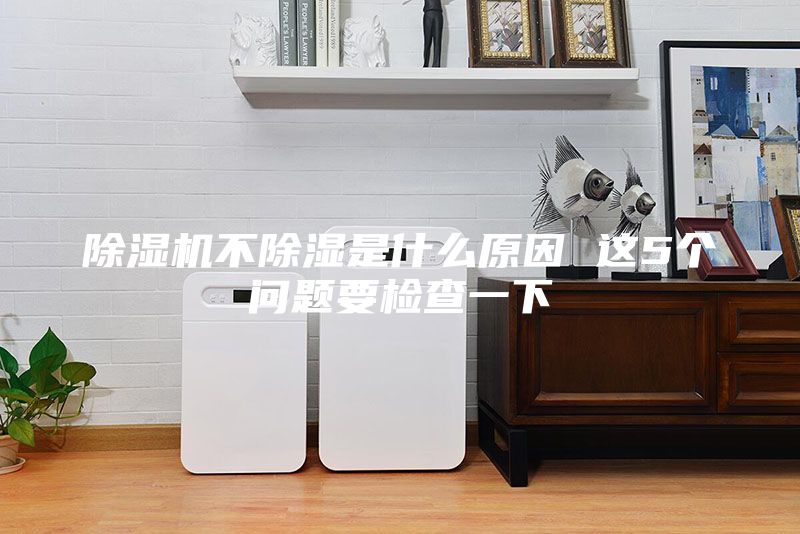 除湿机不除湿是什么原因 这5个问题要检查一下