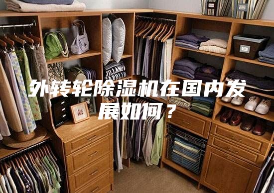 外转轮除湿机在国内发展如何？
