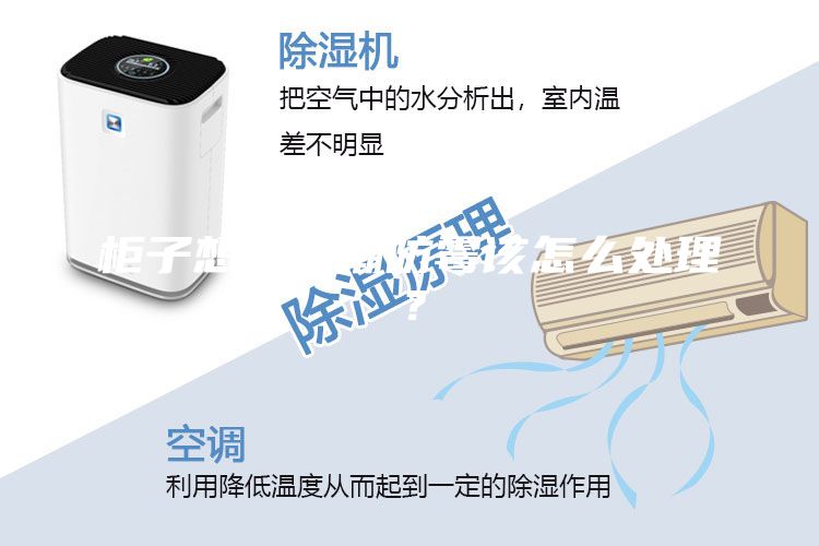 柜子想要防潮防霉该怎么处理？
