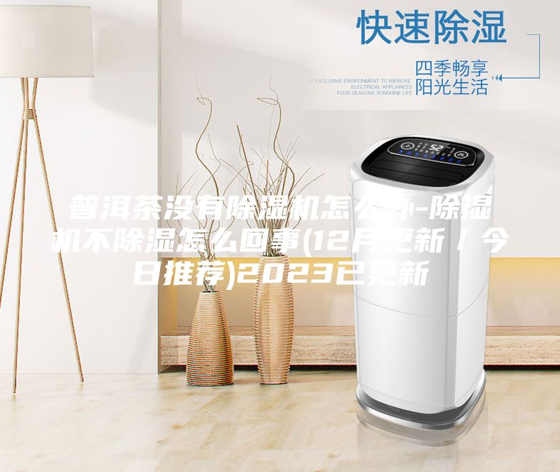 普洱茶没有除湿机怎么办-除湿机不除湿怎么回事(12月更新／今日推荐)2023已更新