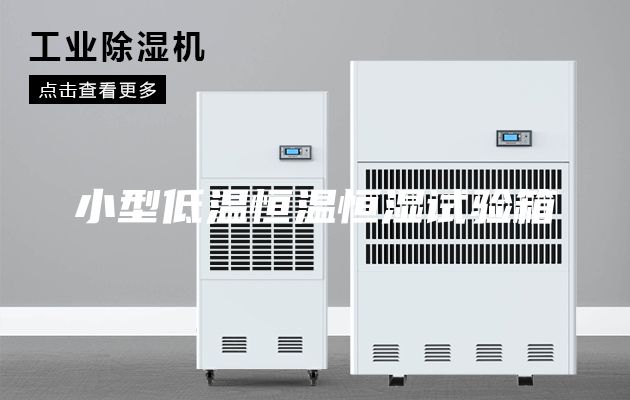 小型低温恒温恒湿试验箱
