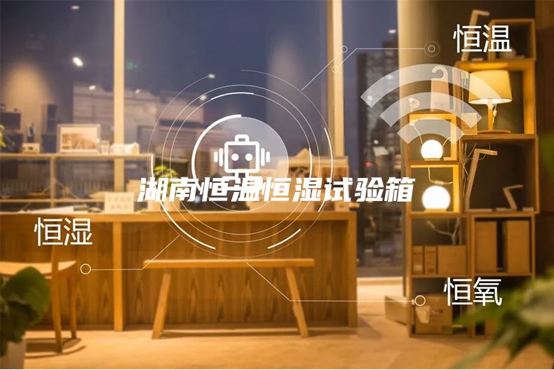 湖南恒温恒湿试验箱