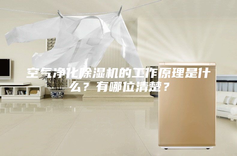 空气净化除湿机的工作原理是什么？有哪位清楚？