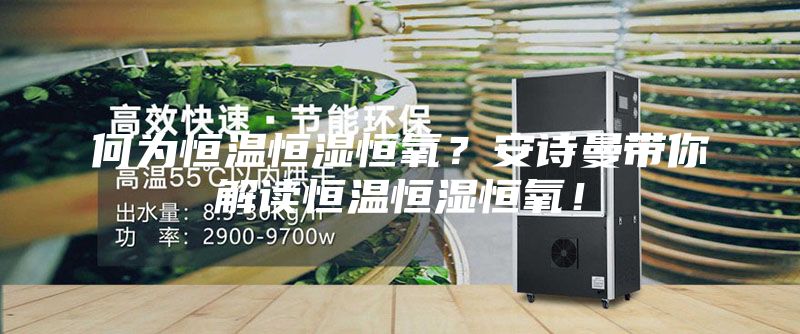 何为恒温恒湿恒氧？安诗曼带你解读恒温恒湿恒氧！