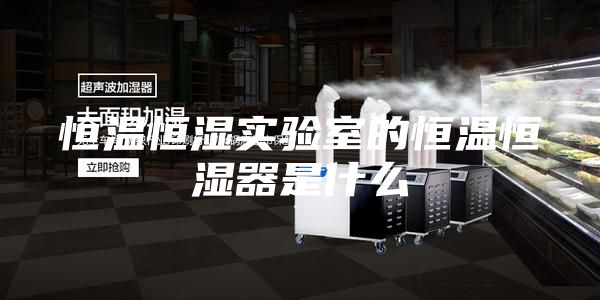 恒温恒湿实验室的恒温恒湿器是什么