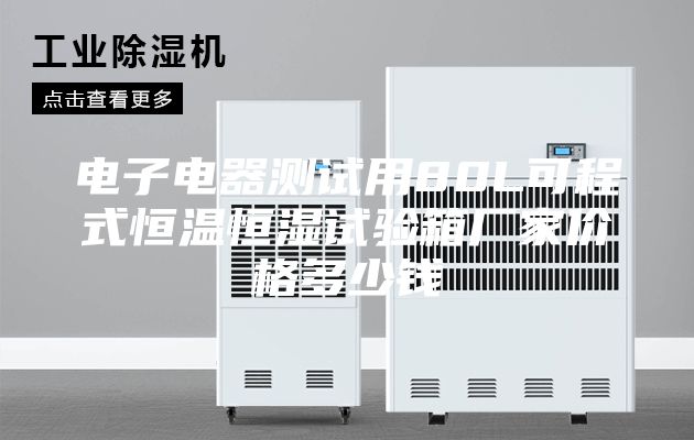 电子电器测试用80L可程式恒温恒湿试验箱厂家价格多少钱