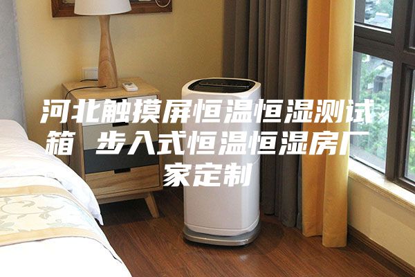 河北触摸屏恒温恒湿测试箱 步入式恒温恒湿房厂家定制