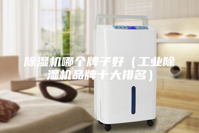 除湿机哪个牌子好（工业除湿机品牌十大排名）