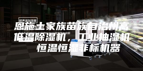 恩施土家族苗族自治州高低温除湿机，工业抽湿机  恒温恒湿非标机器
