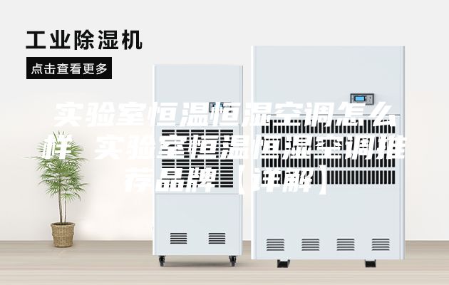 实验室恒温恒湿空调怎么样 实验室恒温恒湿空调推荐品牌【详解】