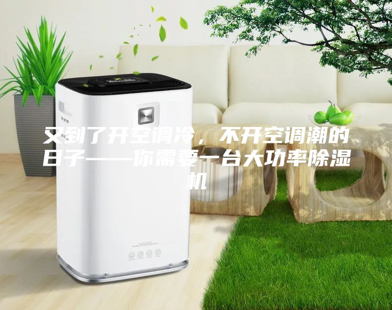 又到了开空调冷，不开空调潮的日子——你需要一台大功率除湿机