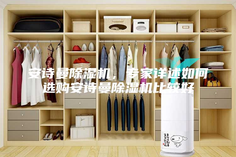 安诗曼除湿机，专家详述如何选购安诗曼除湿机比较好