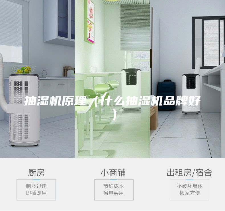 抽湿机原理（什么抽湿机品牌好）