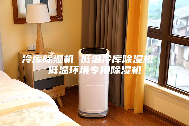 冷库除湿机 低温冷库除湿机  低温环境专用除湿机