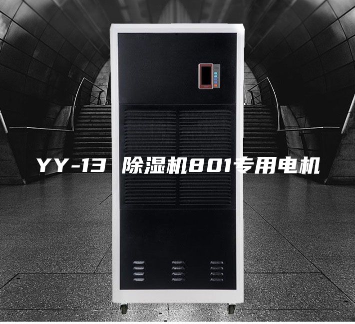 YY-13 除湿机801专用电机
