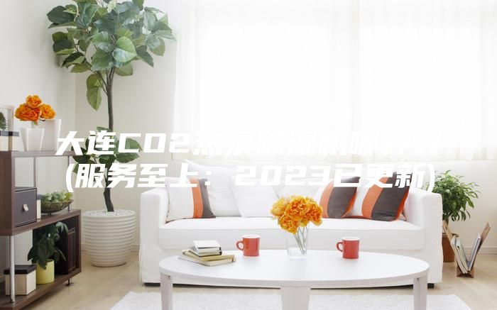大连CO2热泵除湿机哪种好(服务至上：2023已更新)