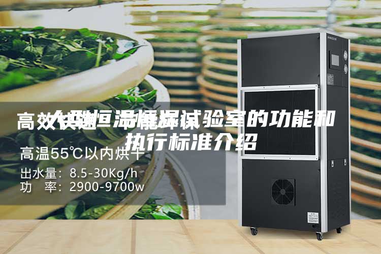 大型恒温恒湿试验室的功能和执行标准介绍