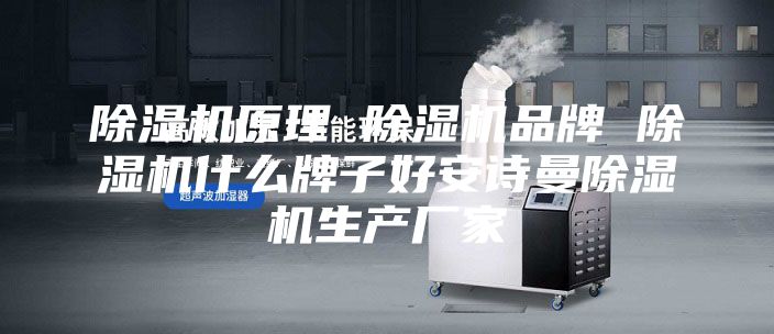 除湿机原理 除湿机品牌 除湿机什么牌子好安诗曼除湿机生产厂家
