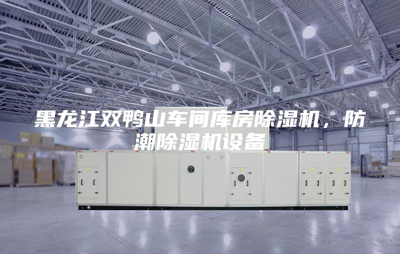 黑龙江双鸭山车间库房除湿机，防潮除湿机设备