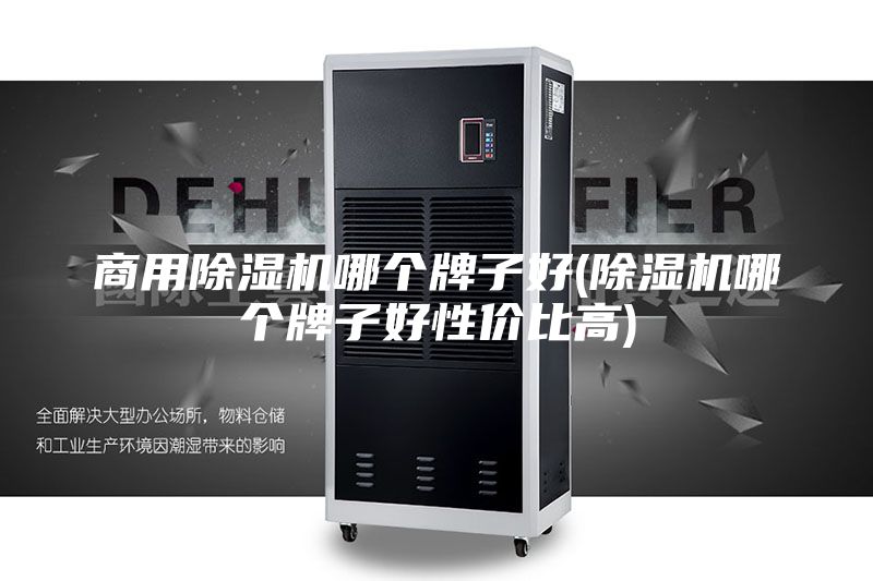 商用除湿机哪个牌子好(除湿机哪个牌子好性价比高)