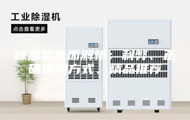 除湿机全面解析：利弊、正确使用方式、精品推荐